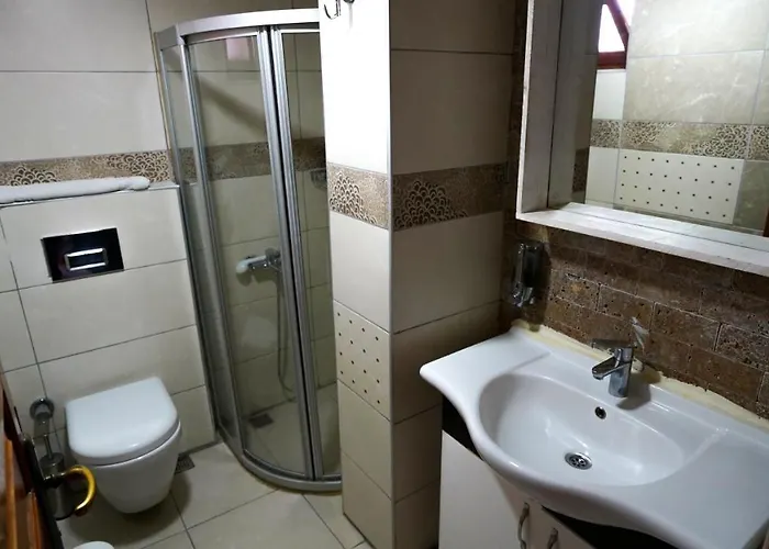 公寓 阿尔雅套房 *