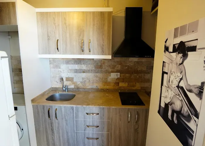 阿尔雅套房 公寓 安塔利亚