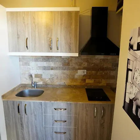 阿尔雅套房 公寓 安塔利亚